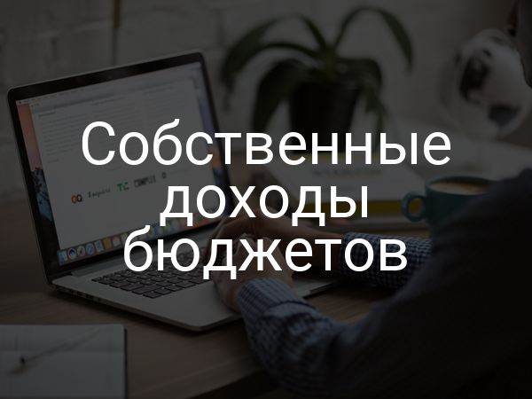 Собственные доходы бюджетов