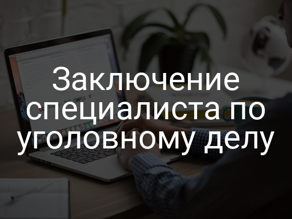 Заключение специалиста по уголовному делу