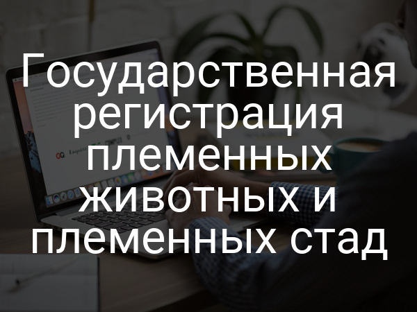 Государственная регистрация племенных животных и племенных стад