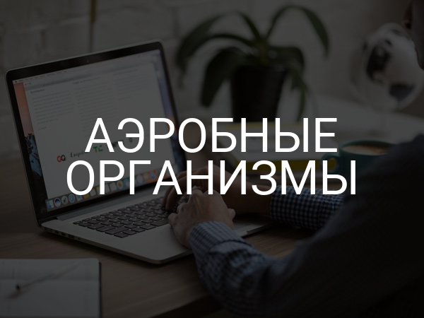 Аэробные организмы