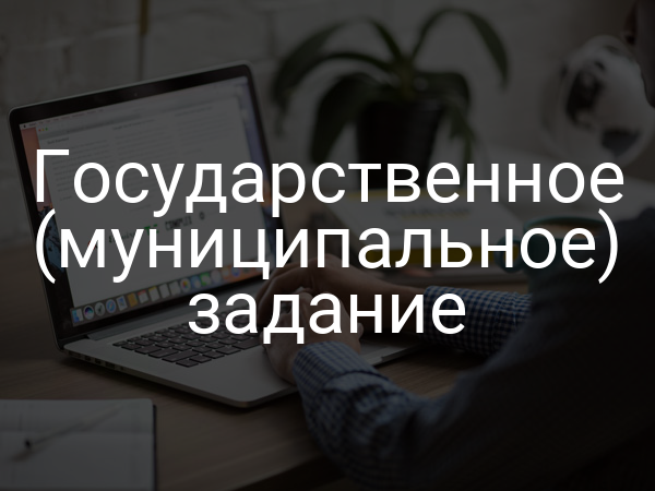 Государственное (муниципальное) задание