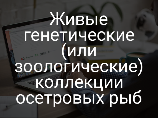 Живые генетические (или зоологические) коллекции осетровых рыб