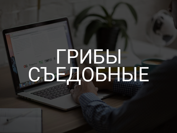 Грибы съедобные