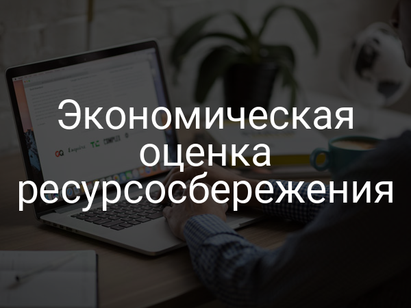 Экономическая оценка ресурсосбережения