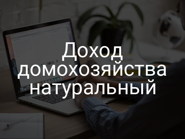 Доход домохозяйства натуральный