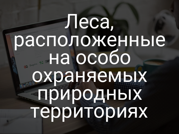 Леса, расположенные на особо охраняемых природных территориях