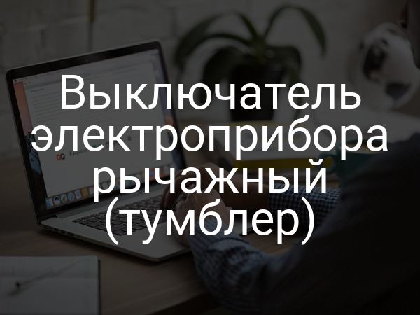 Выключатель электроприбора рычажный (тумблер)
