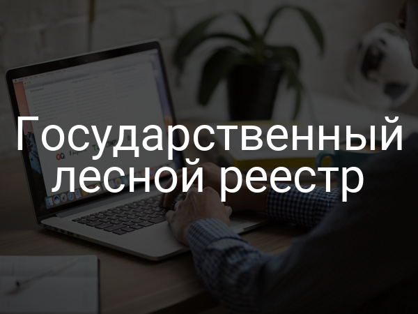 Государственный лесной реестр