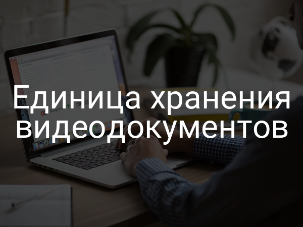 Единица хранения видеодокументов