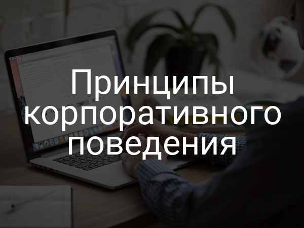 Принципы корпоративного поведения