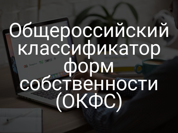 Общероссийский классификатор форм собственности (ОКФС)