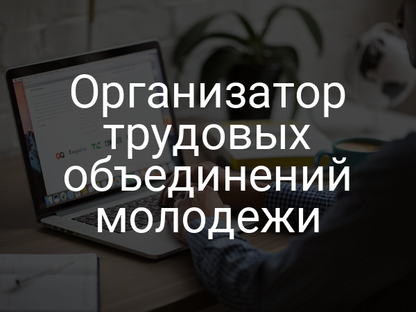 Организатор трудовых объединений молодежи