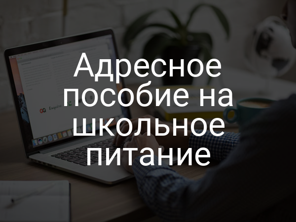 Адресное пособие на школьное питание