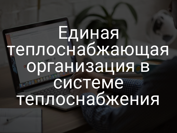 Единая теплоснабжающая организация в системе теплоснабжения