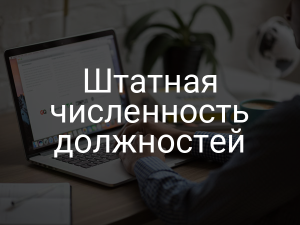 Штатная численность должностей