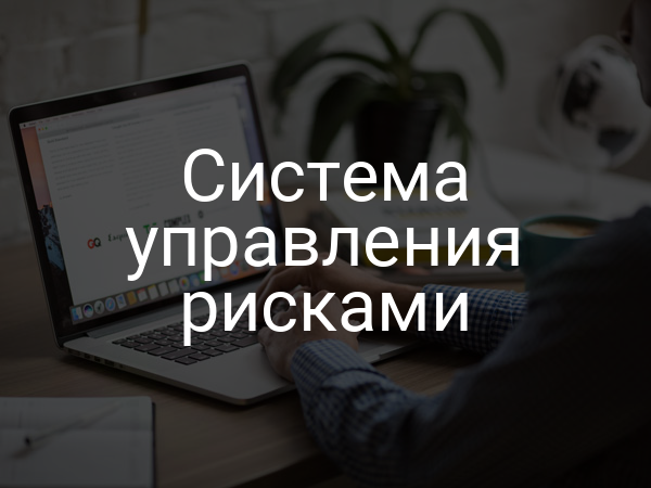 Система управления рисками