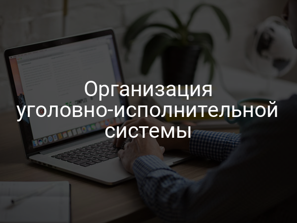 Организация уголовно-исполнительной системы