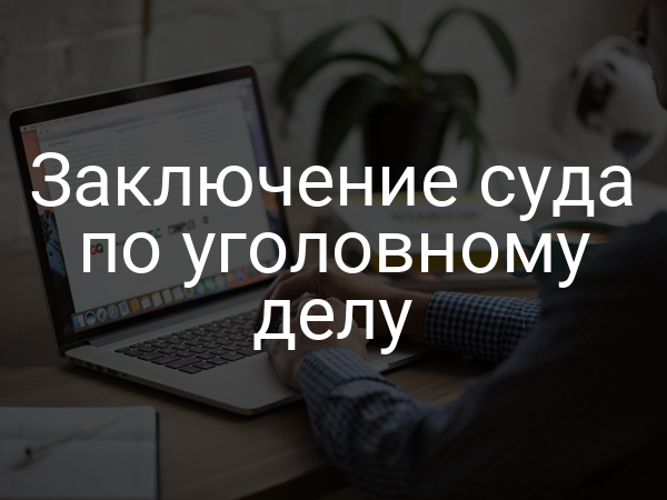 Заключение суда по уголовному делу