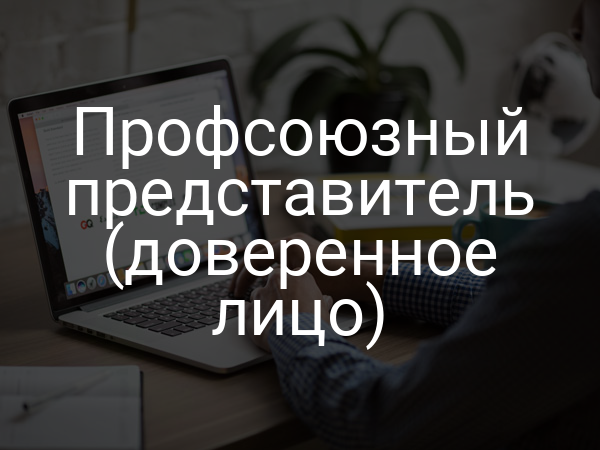 Профсоюзный представитель (доверенное лицо)
