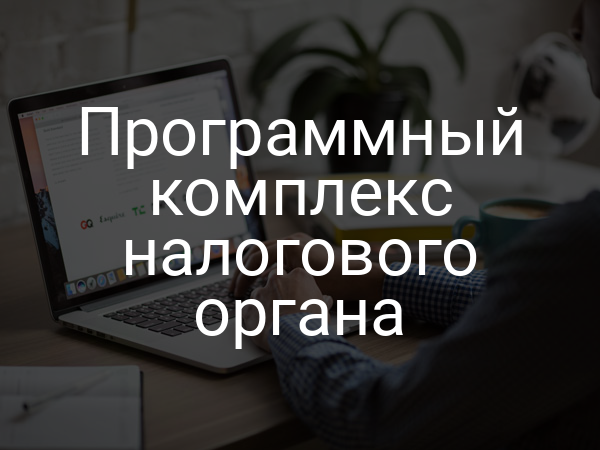 Программный комплекс налогового органа