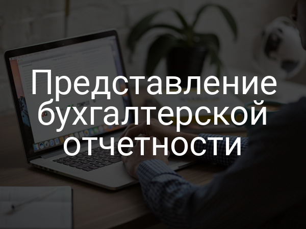 Представление бухгалтерской отчетности