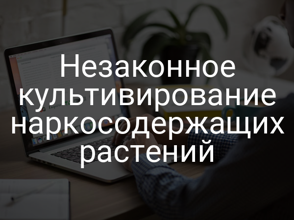 Незаконное культивирование наркосодержащих растений
