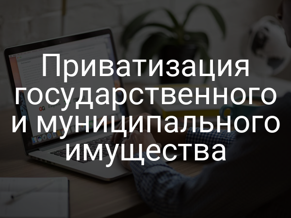 Приватизация государственного и муниципального имущества