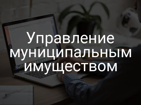 Управление муниципальным имуществом