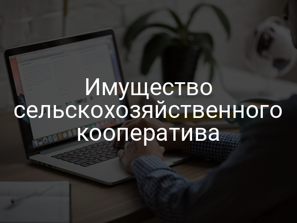 Имущество сельскохозяйственного кооператива