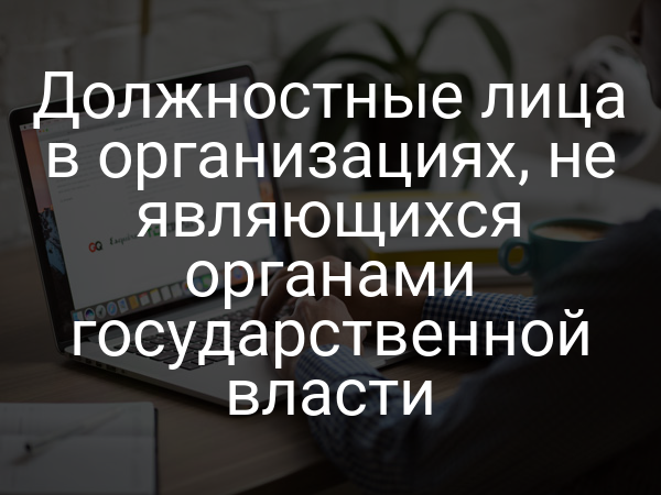 Должностные лица в организациях, не являющихся органами государственной власти