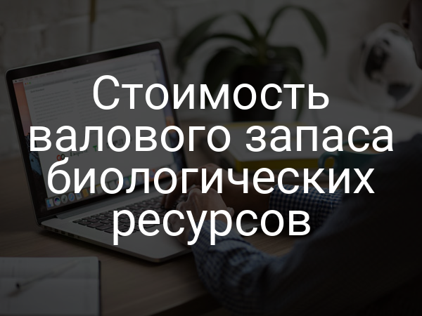 Стоимость валового запаса биологических ресурсов