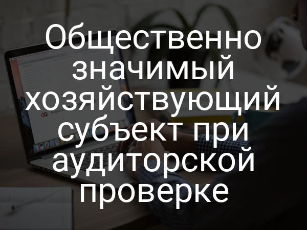 Общественно значимый хозяйствующий субъект при аудиторской проверке