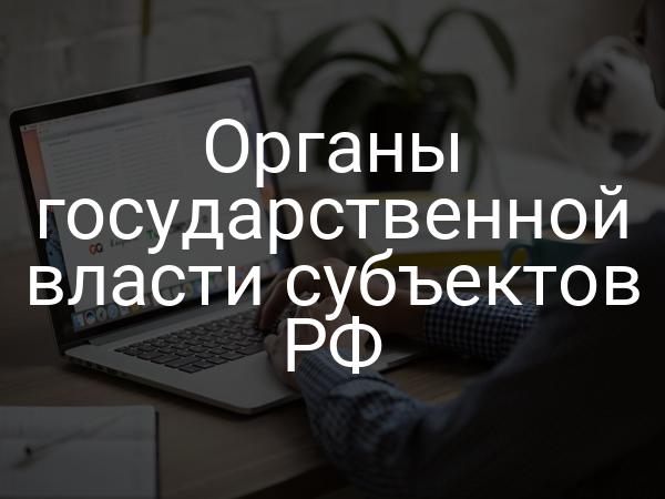 Органы государственной власти субъектов РФ