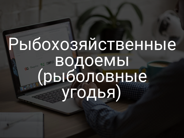 Рыбохозяйственные водоемы (рыболовные угодья)