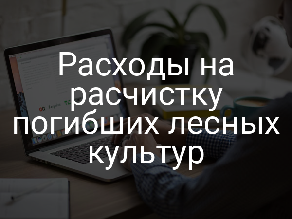 Расходы на расчистку погибших лесных культур