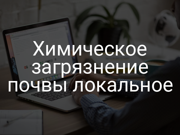 Химическое загрязнение почвы локальное