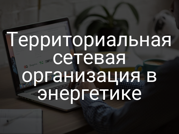 Территориальная сетевая организация в энергетике