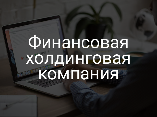 Финансовая холдинговая компания