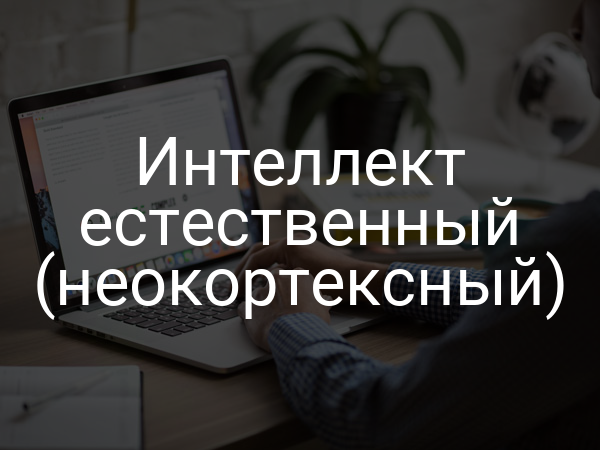 Интеллект естественный (неокортексный)