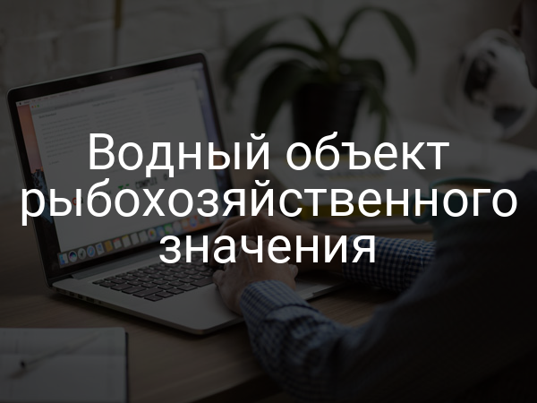 Водный объект рыбохозяйственного значения
