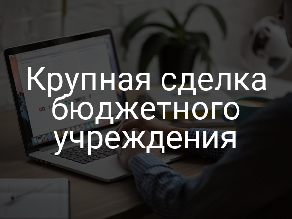 Крупная сделка бюджетного учреждения