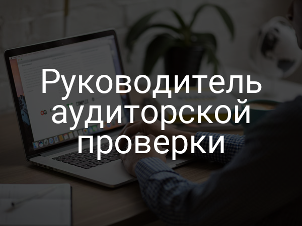 Руководитель аудиторской проверки