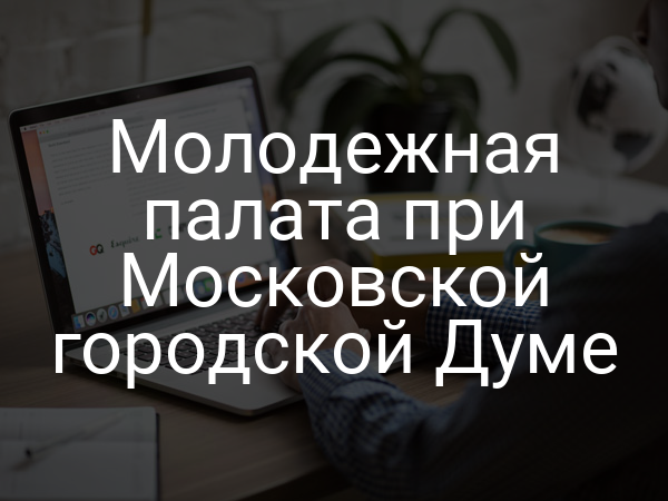Молодежная палата при Московской городской Думе