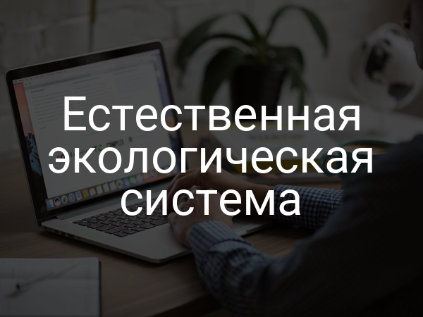 Естественная экологическая система