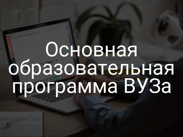 Основная образовательная программа ВУЗа