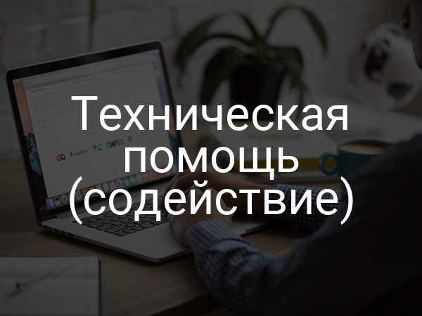 Техническая помощь (содействие)