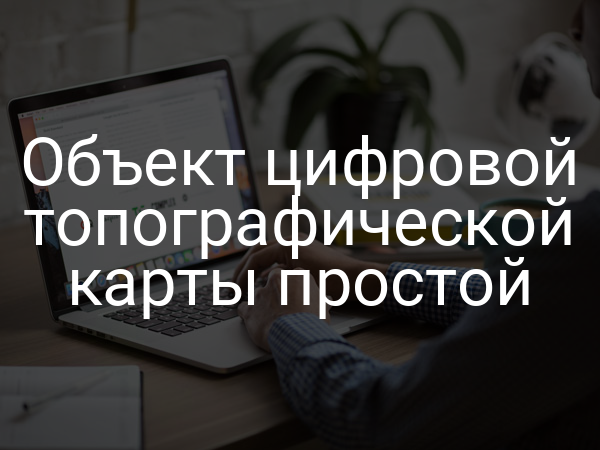 Объект цифровой топографической карты простой