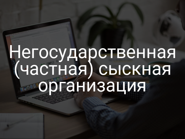 Негосударственная (частная) сыскная организация