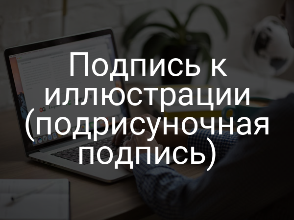 Подпись к иллюстрации (подрисуночная подпись)