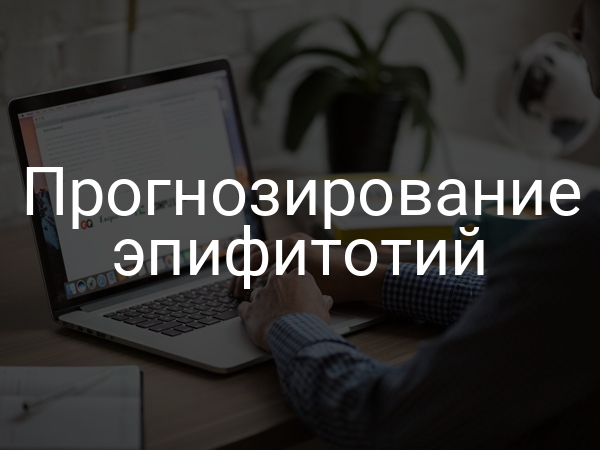 Прогнозирование эпифитотий